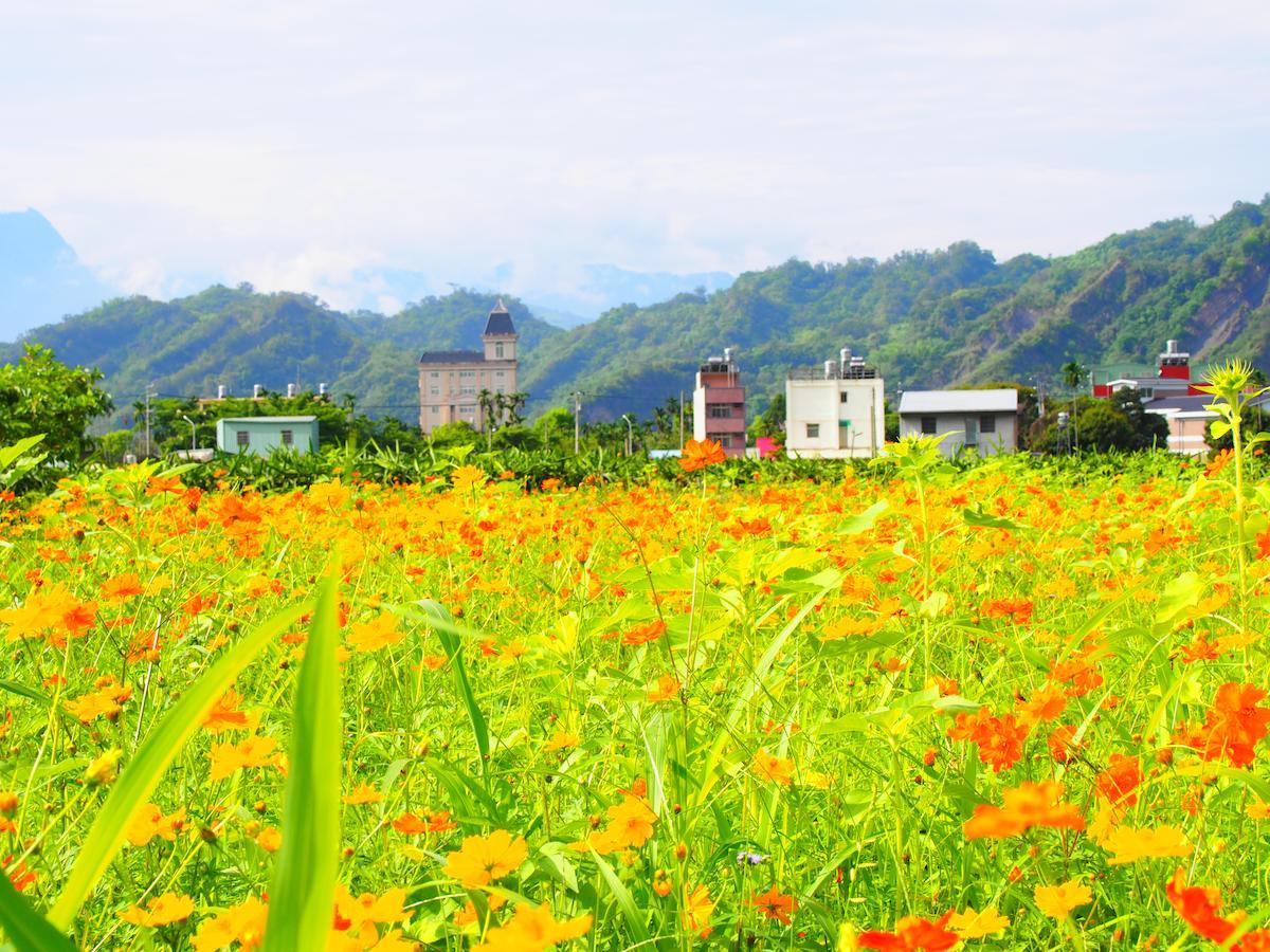 Palm Villa Guesthouse Nantou Zewnętrze zdjęcie